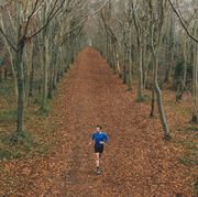 low angled drone view of a runner on a treelined trail